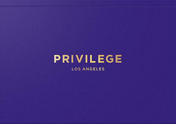 Презентация «Privilege»